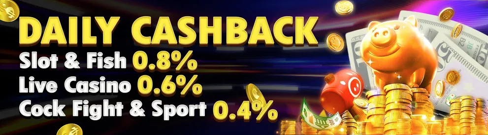daily cashback