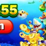 PPH855 ចូល ប្រាក់រង្វាន់ឥតគិតថ្លៃ $5 នៅកម្ពុជា